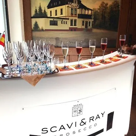 Waldschloesschen 酒店